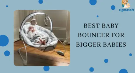 Best Baby Bouncers over 20-30 pounds [2022] (Latest Reviews)
